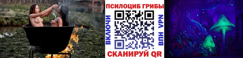 Псилоцибиновые грибы Psilocybe  наркошоп  Алзамай 